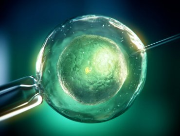 embrió mesterséges megtermékenyítés