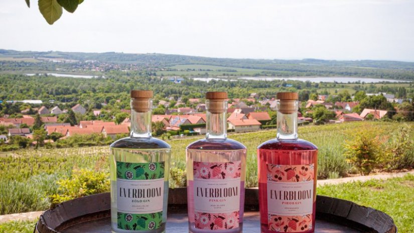 Szőlő alapú gin!? A PTE-n ilyet is tudnak!
