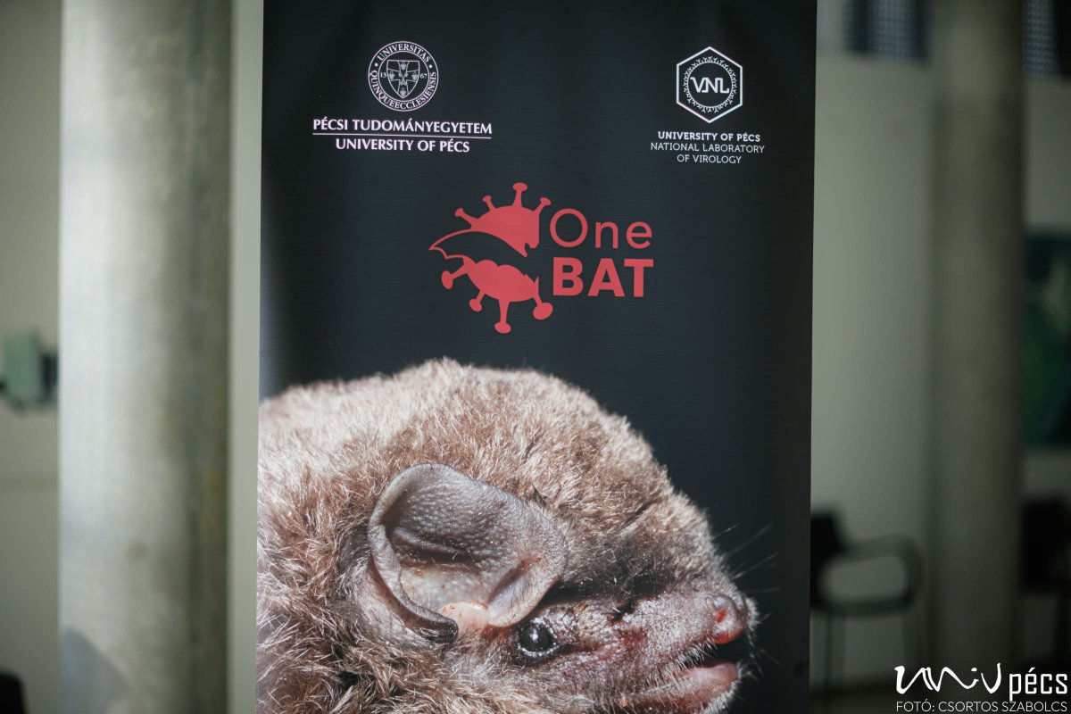 Global collaboration to tackle zoonotic threats