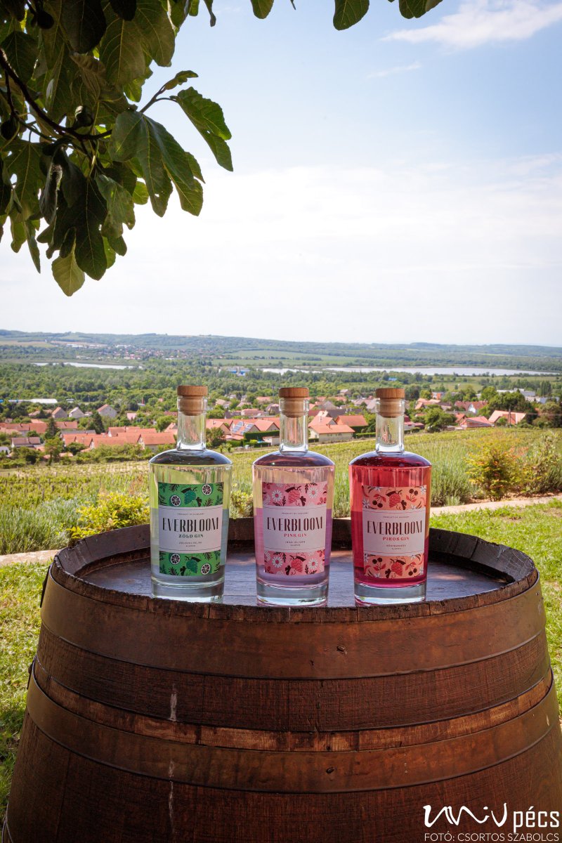 Szőlő alapú gin!? A PTE-n ilyet is tudnak!