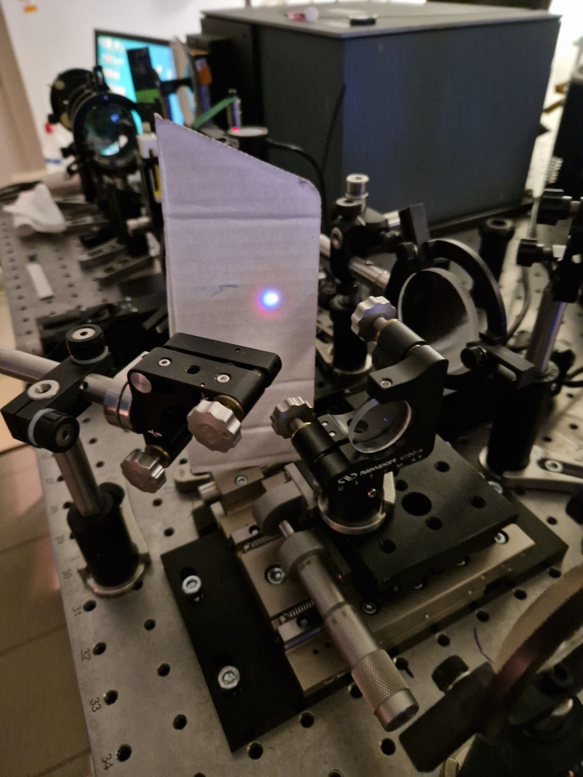 Global collaboration sparks breakthroughs in blue-light optogenetics at University of Pécs